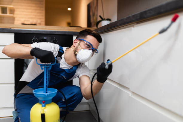 Best Affordable Pest Control Services  in Timonium, MD