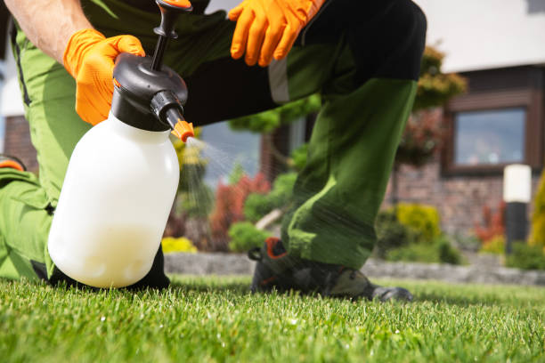 Best Insect Control  in Timonium, MD