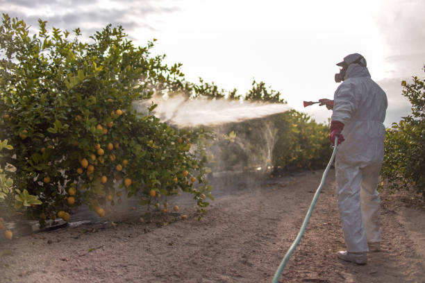 Reliable Timonium, MD Pest Control Solutions