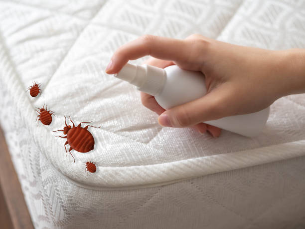 Best Pest Removal Services  in Timonium, MD