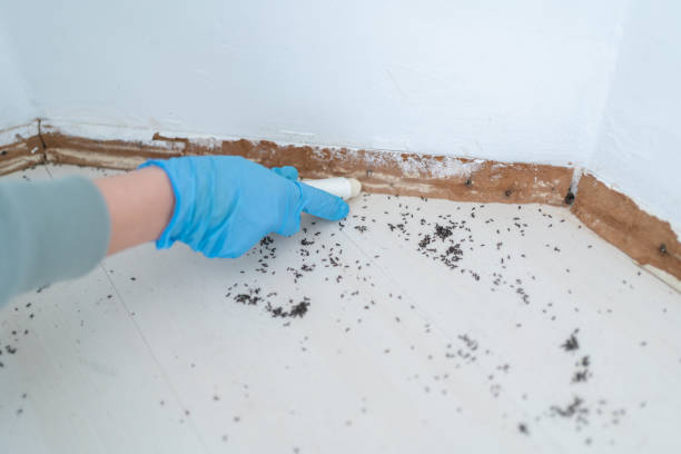 Best Wildlife Control Services  in Timonium, MD