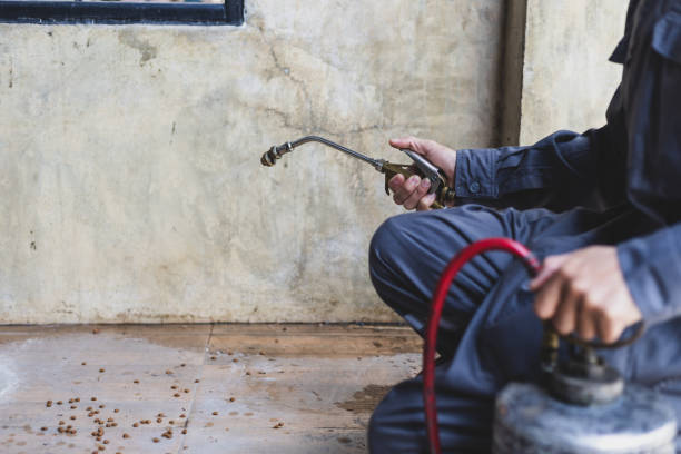 Best Residential Pest Control  in Timonium, MD