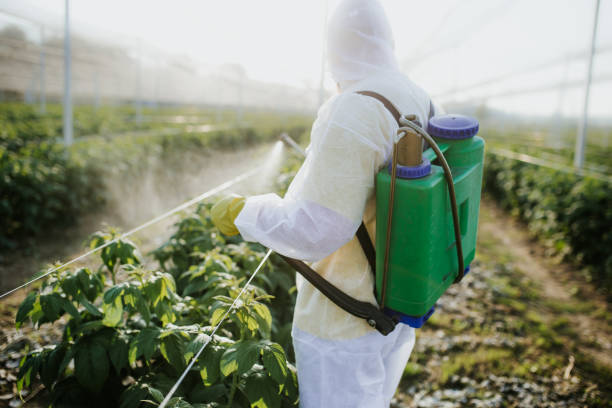 Best Residential Pest Control  in Timonium, MD